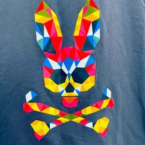 Psycho Bunny Kids Short Sleeve Tee - Multicolor Graphic on Gray
